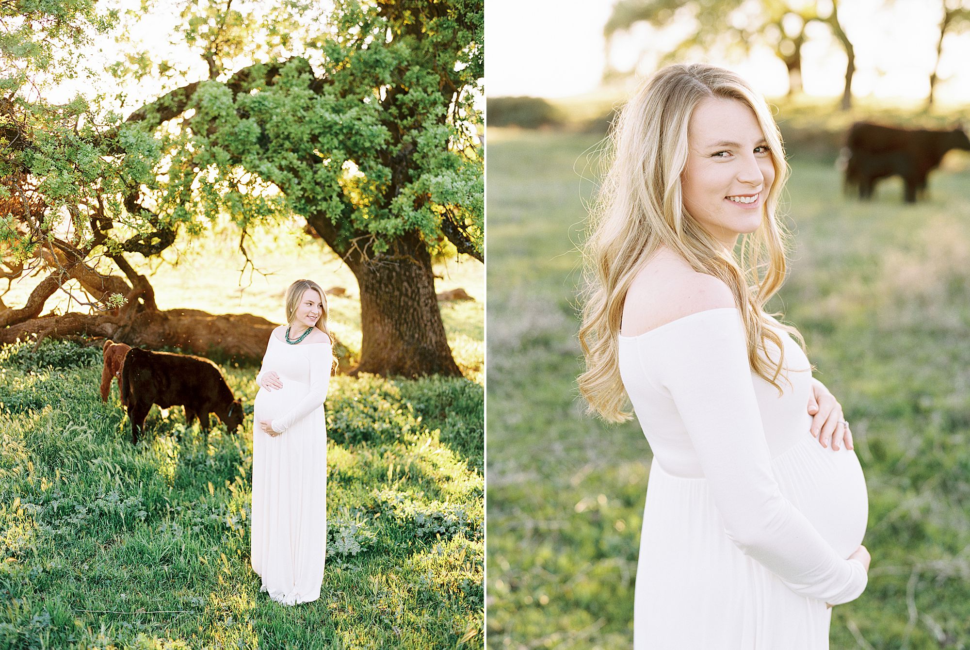 Sheridan Maternity Session - Lexie and Nick - Sacramento Maternity Photos by Ashley Baumgartner - Farmland, 4H Maternity with Cows_0009.jpg