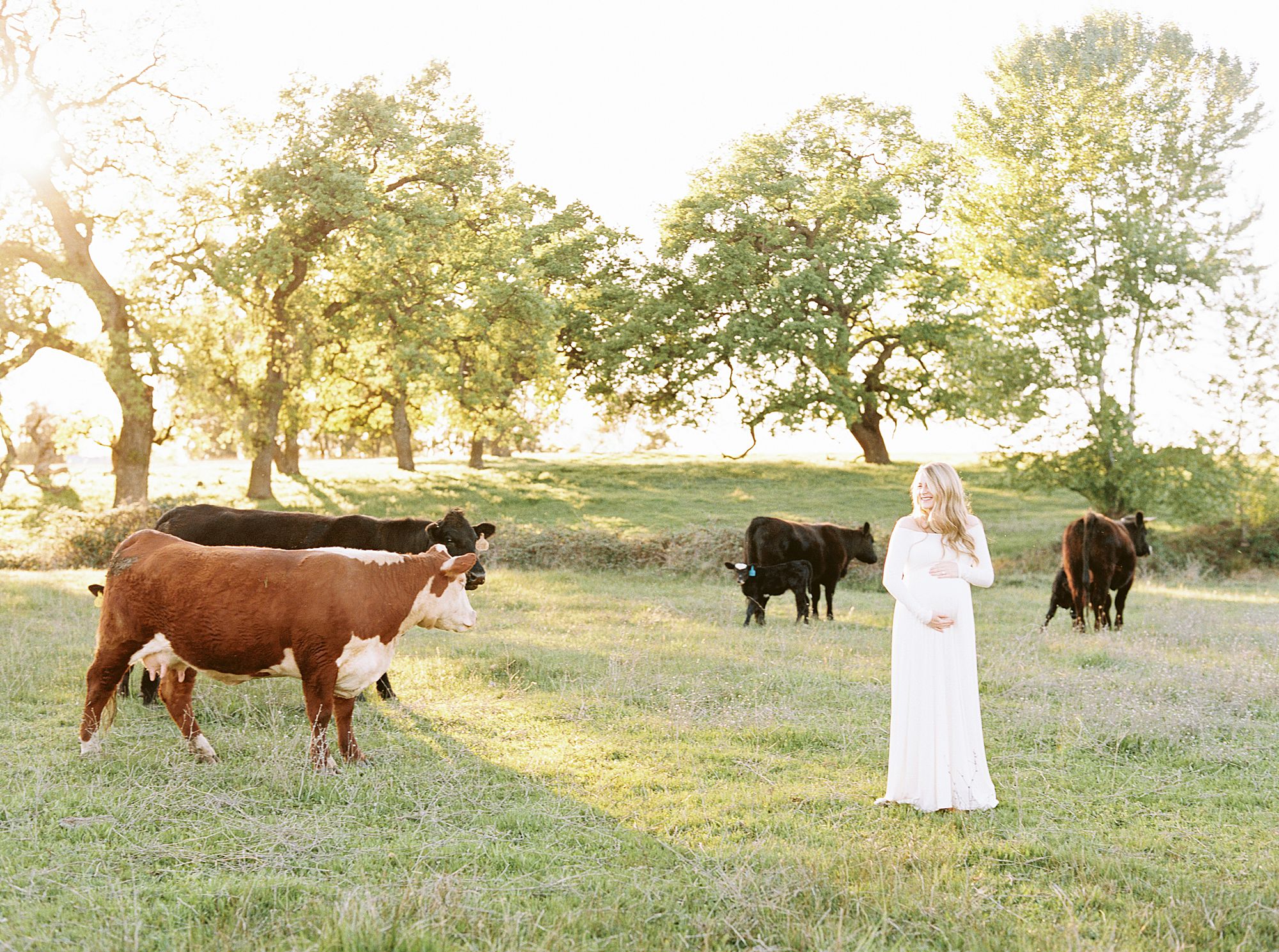 Sheridan Maternity Session - Lexie and Nick - Sacramento Maternity Photos by Ashley Baumgartner - Farmland, 4H Maternity with Cows_0012.jpg