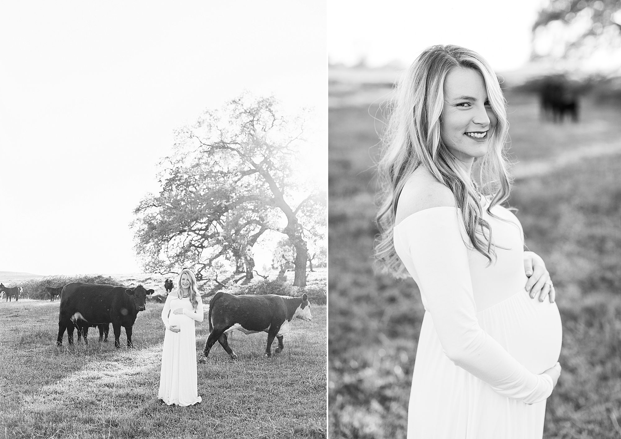 Sheridan Maternity Session - Lexie and Nick - Sacramento Maternity Photos by Ashley Baumgartner - Farmland, 4H Maternity with Cows_0018.jpg