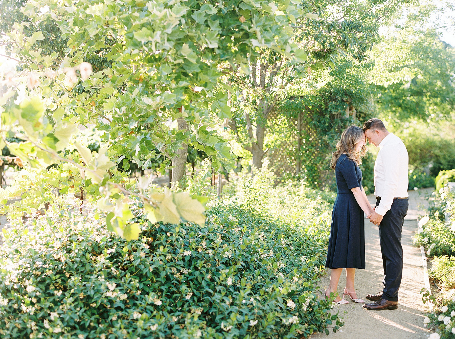 Scribner Bend Winery Engagement Session - Courtney and Steven - Ashley Baumgartner - Sribner Bend Wedding Photographer - Sacramento Wedding Photographer_0005.jpg