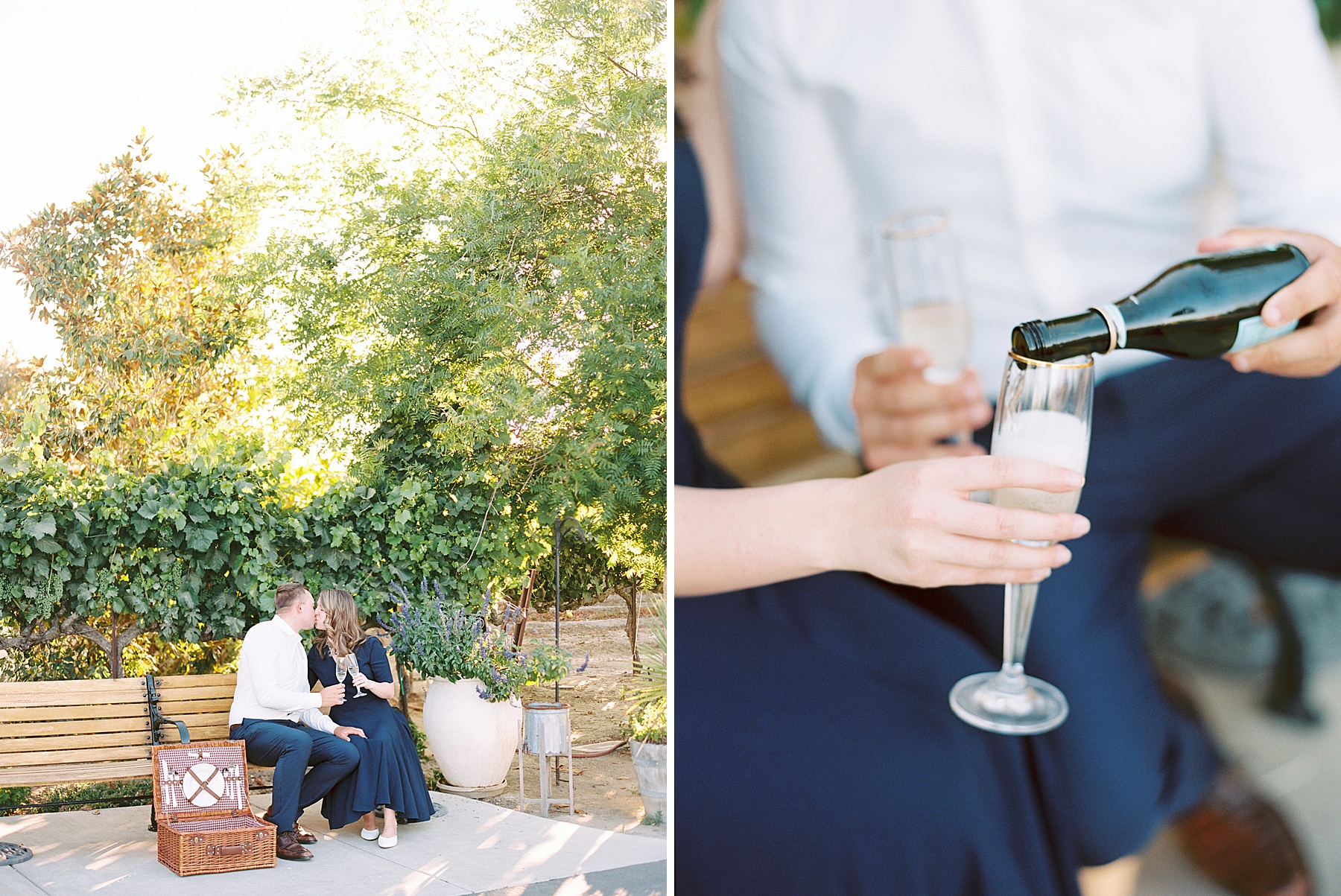 Scribner Bend Winery Engagement Session - Courtney and Steven - Ashley Baumgartner - Sribner Bend Wedding Photographer - Sacramento Wedding Photographer_0006.jpg