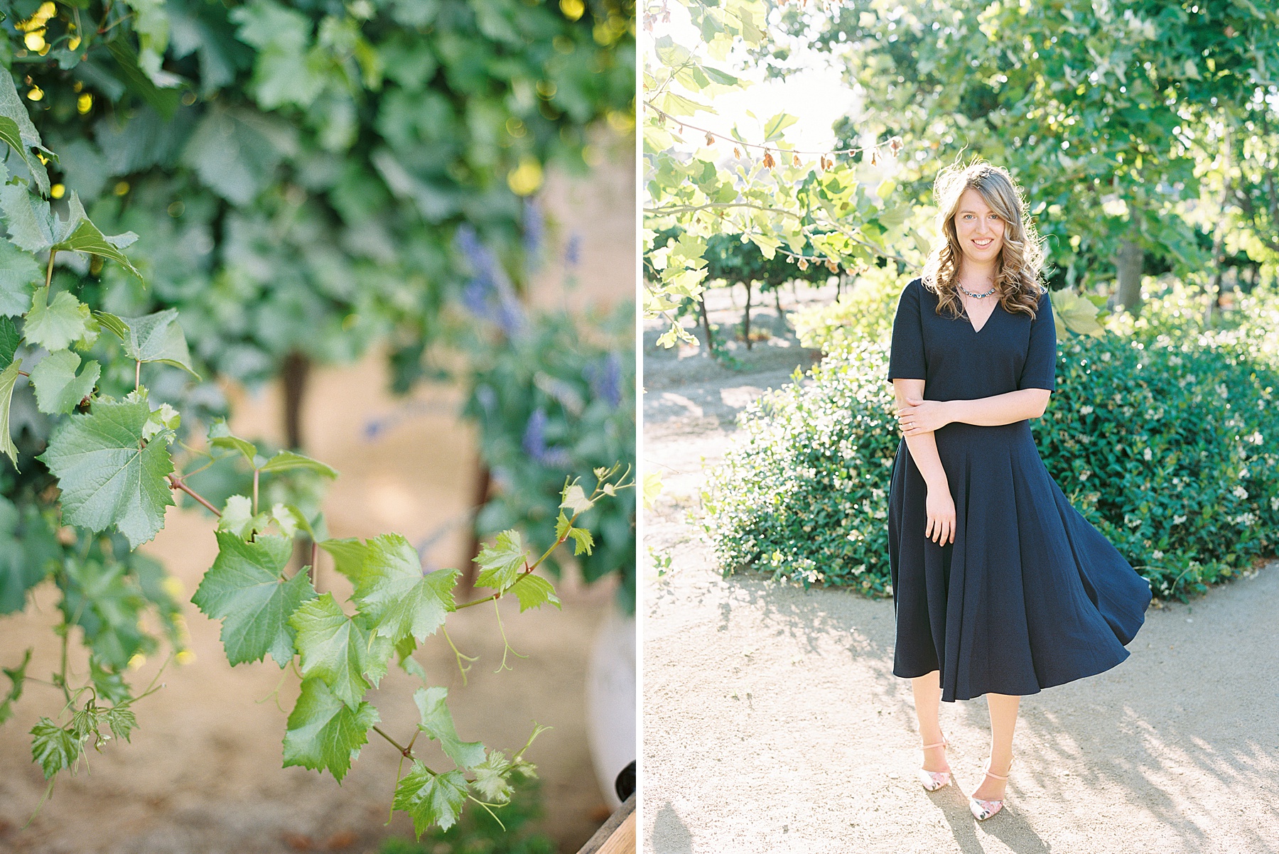 Scribner Bend Winery Engagement Session - Courtney and Steven - Ashley Baumgartner - Sribner Bend Wedding Photographer - Sacramento Wedding Photographer_0012.jpg