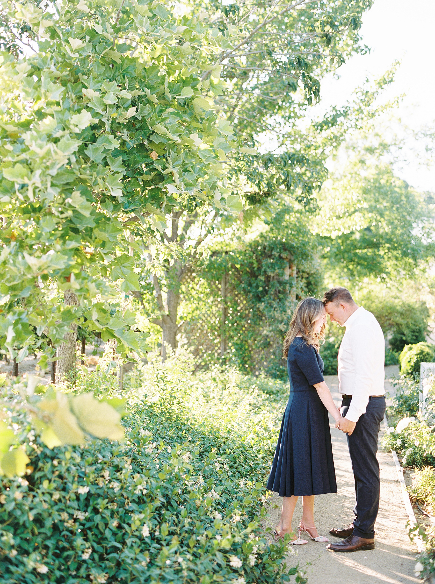 Scribner Bend Winery Engagement Session - Courtney and Steven - Ashley Baumgartner - Sribner Bend Wedding Photographer - Sacramento Wedding Photographer_0015.jpg