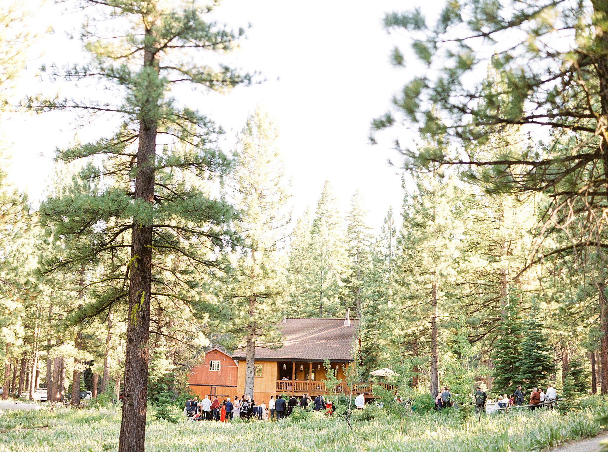 MITCHELLS MOUNTAIN MEADOWS Wedding - Ash Baumgartner - Phallina and Matt - Sierraville Wedding - Tahoe Wedding Photography_0007.jpg