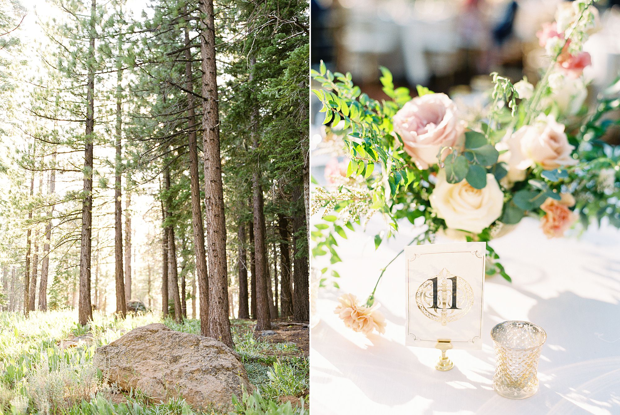 MITCHELLS MOUNTAIN MEADOWS Wedding - Ash Baumgartner - Phallina and Matt - Sierraville Wedding - Tahoe Wedding Photography_0018.jpg