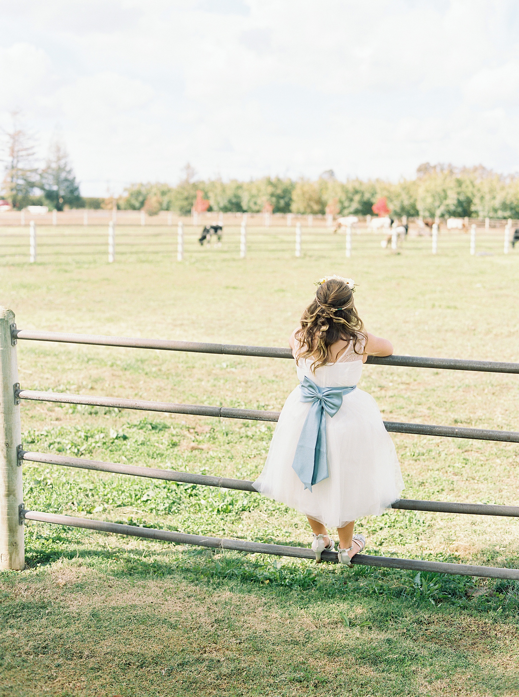 Ranch at Lone Oak Longhorns Wedding - Ash Baumgartner - Lily and Elijah - Lone Oak Longhorns Wedding Photographer_0016.jpg