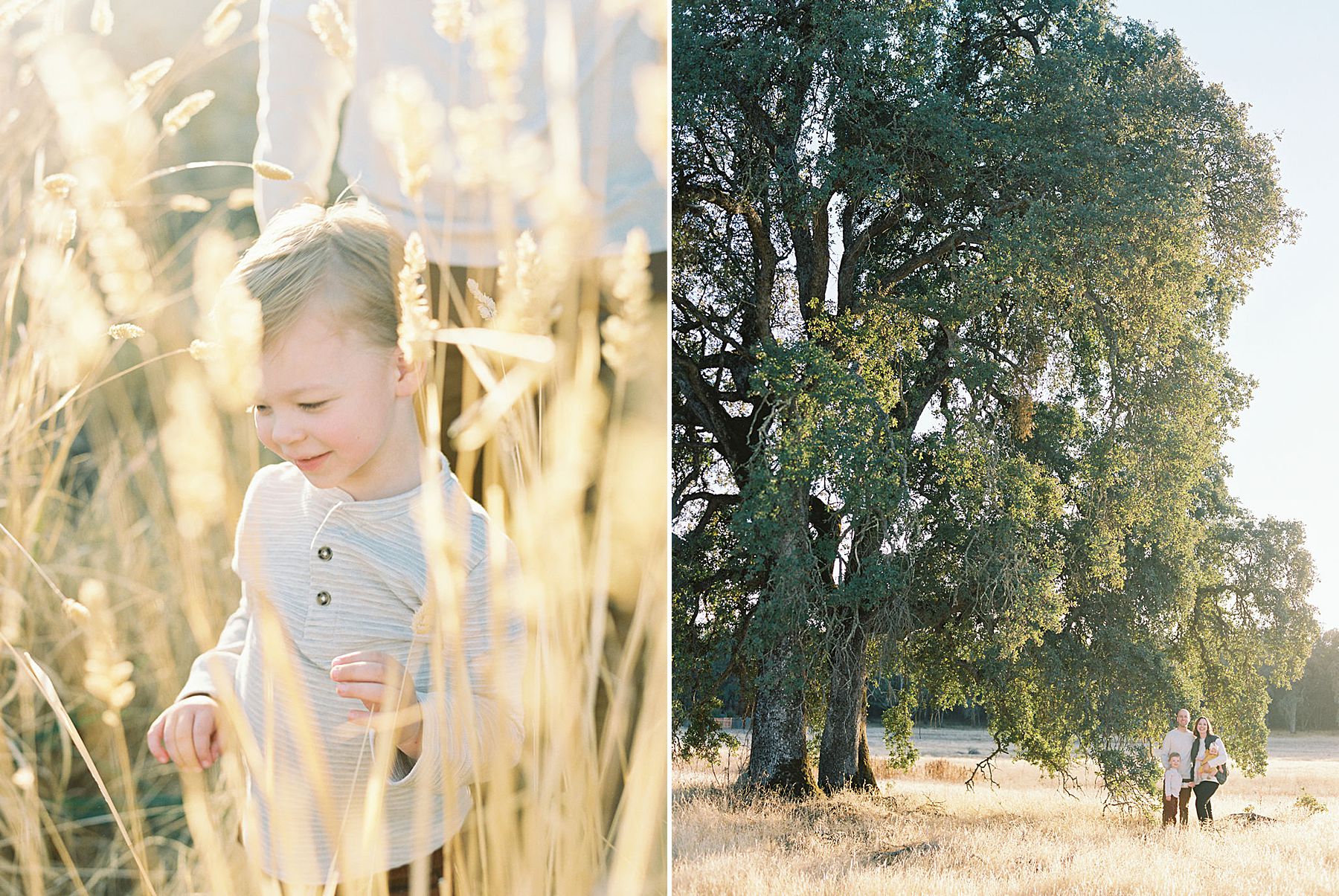 Sacramento Fall Family Session - The Brown Family - Ash Baumgartner - Sacramento Photographer_0003.jpg