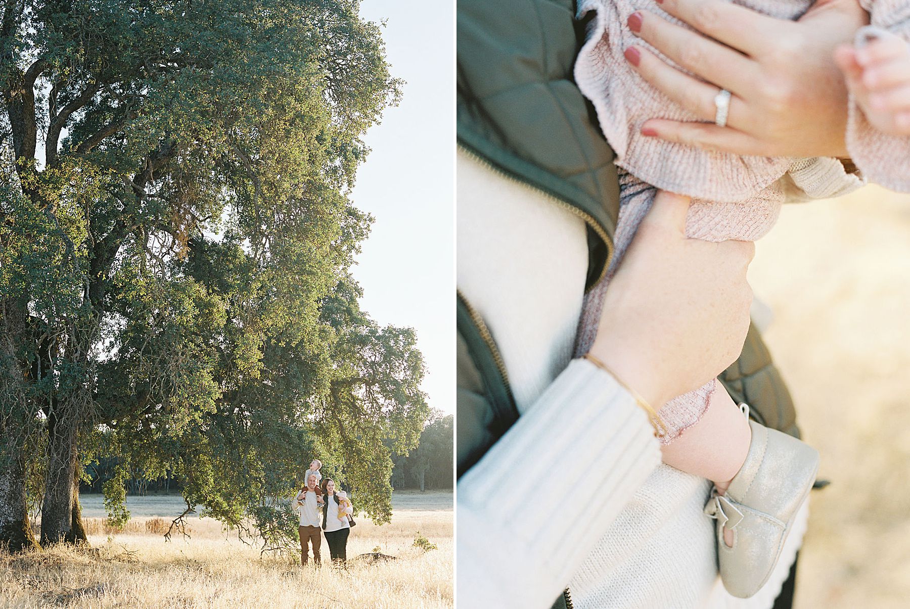 Sacramento Fall Family Session - The Brown Family - Ash Baumgartner - Sacramento Photographer_0007.jpg