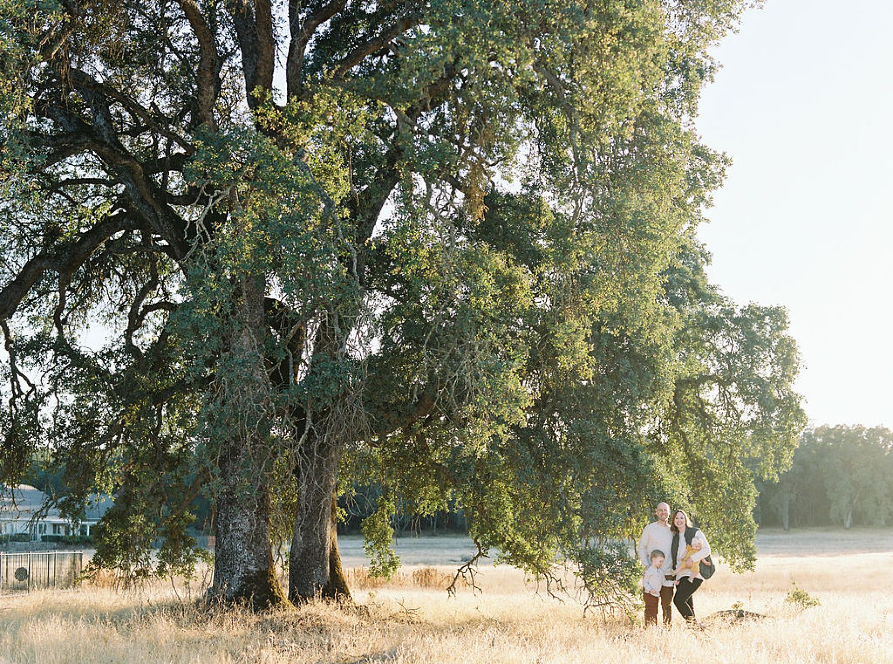 Sacramento Fall Family Session - The Brown Family - Ash Baumgartner - Sacramento Photographer_0011.jpg