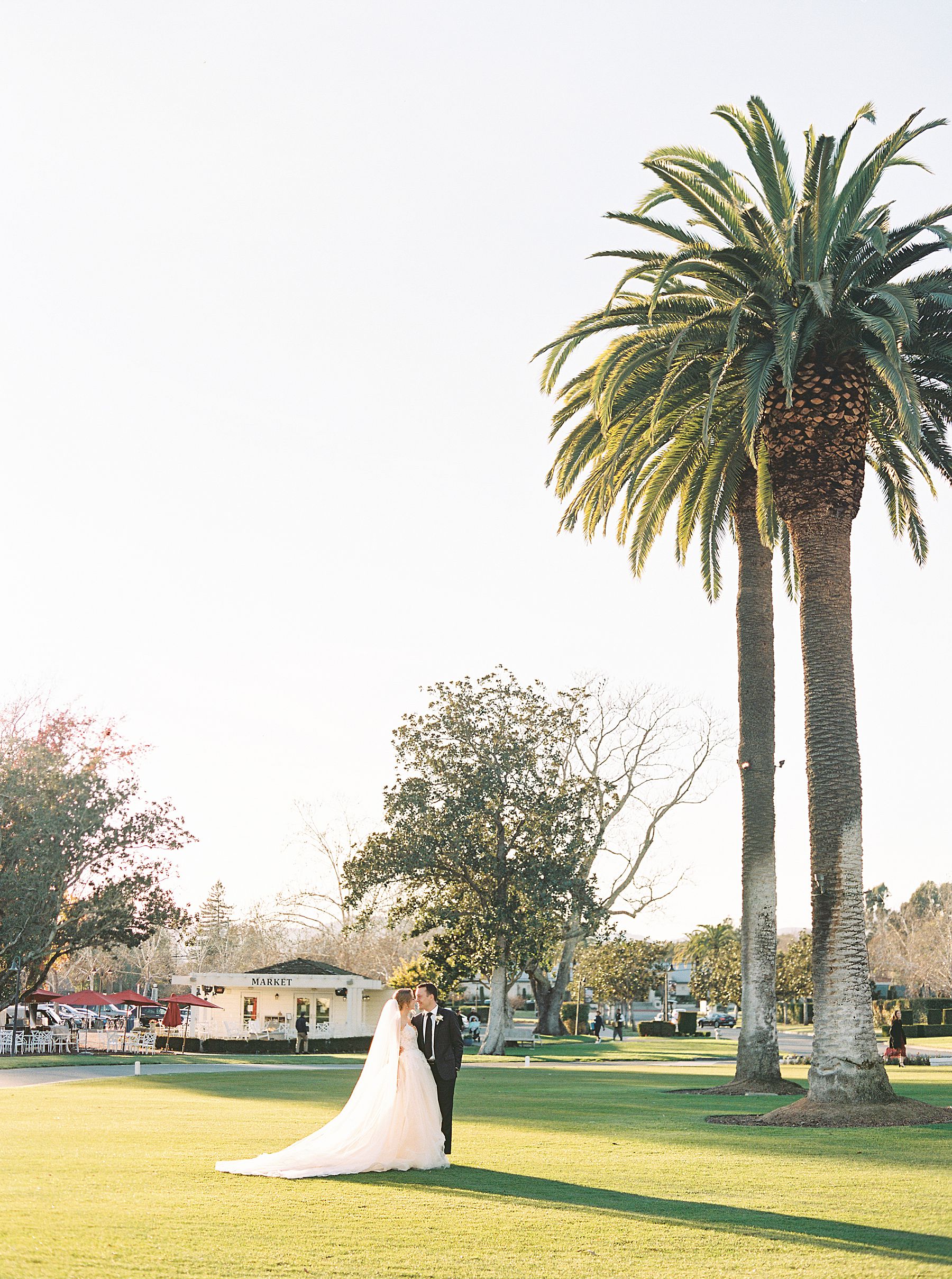 Silverado Resort Wedding - Winter Wedding - Maddie and Mark - Ash Baumgartner - Sonoma Wedding Photographer_0001.jpg