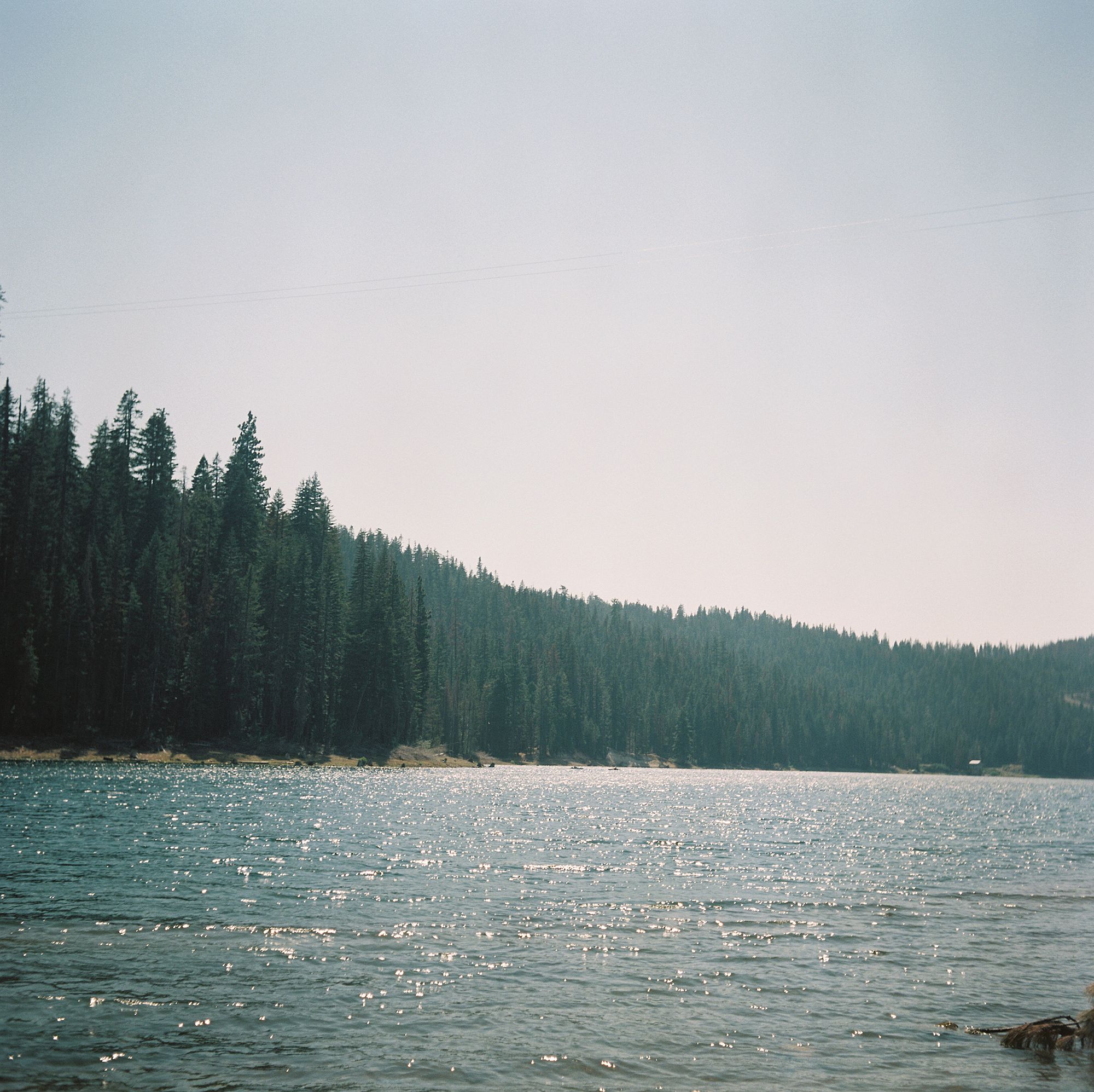 Bucks Lake - Ash Baumgartner - Rolleiflex 3.5 - Film Vacation1.jpg