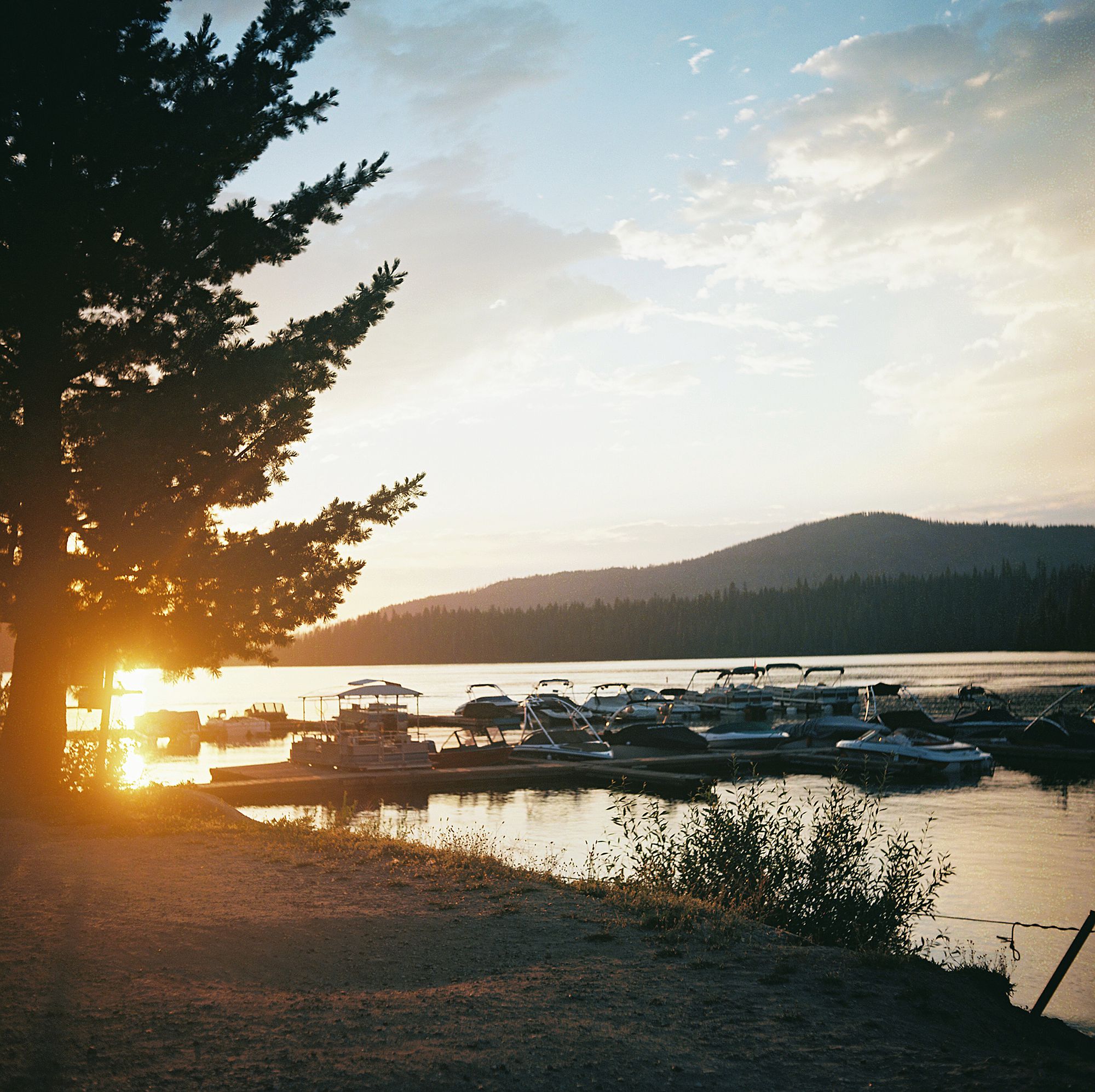 Bucks Lake - Ash Baumgartner - Rolleiflex 3.5 - Film Vacation11.jpg